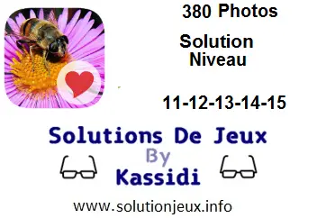 380 Photos niveau 11-12-13-14-15 solution