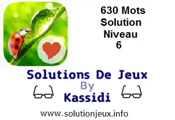 Solution 630 Mots Niveau 6